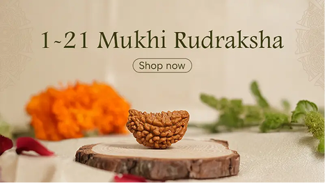 Rudraksha